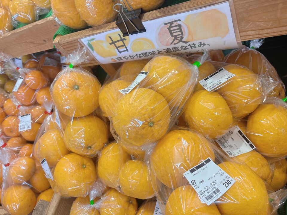 【福岡県糸島市】福ふくの里：二丈福吉の直売所・産直所
