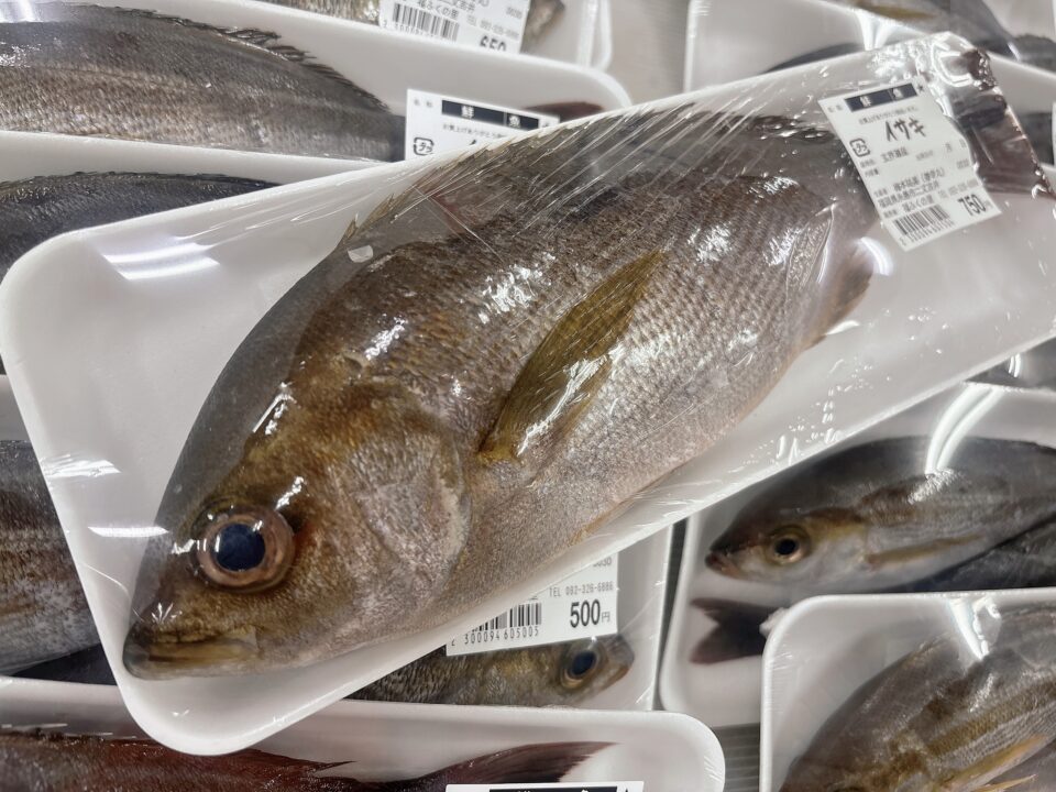 【福岡県糸島市】福ふくの里：二丈福吉の直売所・産直所