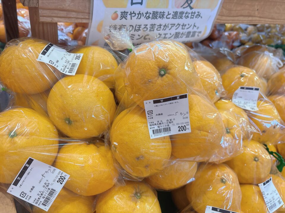 【福岡県糸島市】福ふくの里：二丈福吉の直売所・産直所