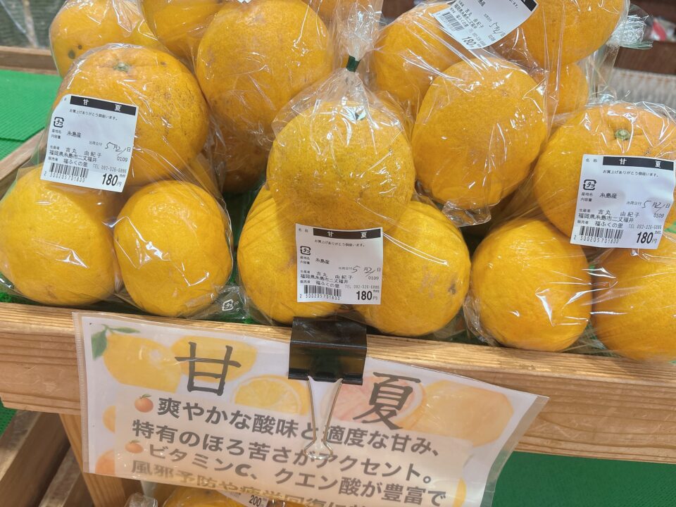 【福岡県糸島市】福ふくの里：二丈福吉の直売所・産直所