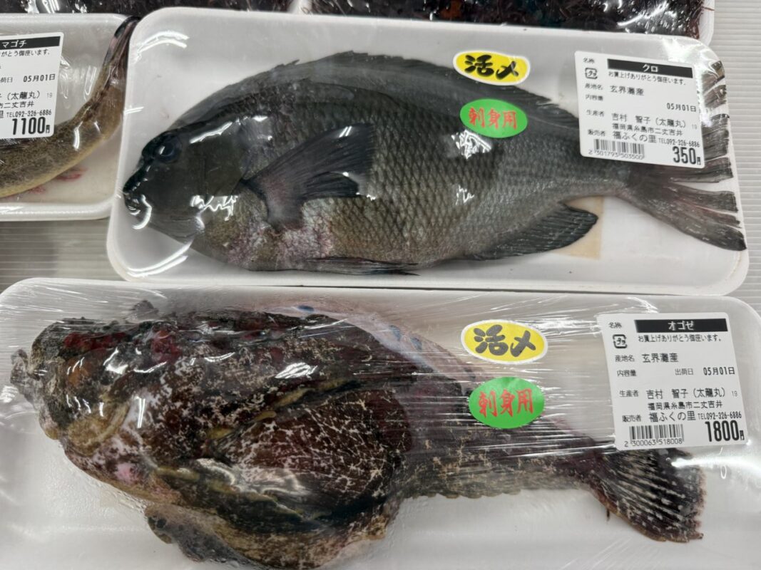 【福岡県糸島市】福ふくの里：二丈福吉の直売所・産直所