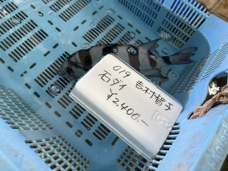【福岡県糸島市】福ふくの里：二丈福吉の直売所・産直所