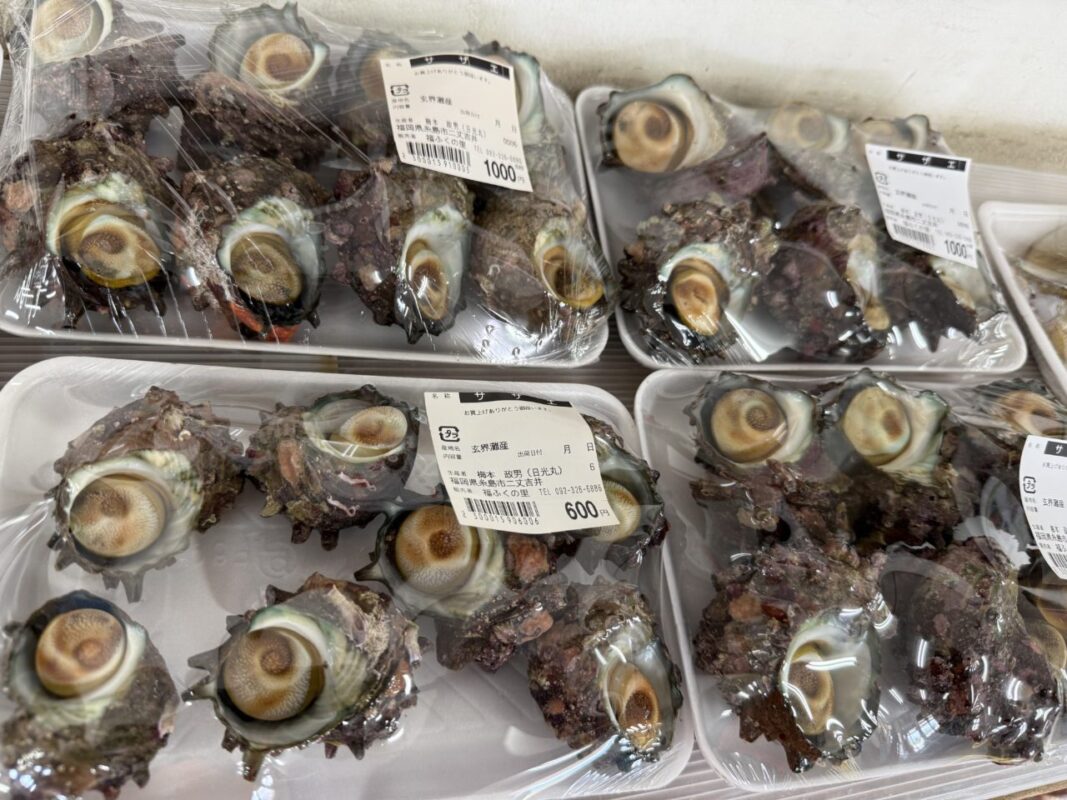 【福岡県糸島市】福ふくの里：二丈福吉の直売所・産直所