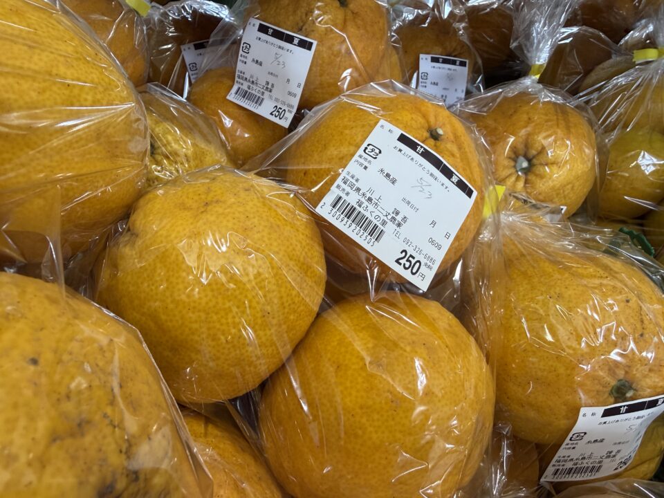 【福岡県糸島市】福ふくの里：二丈福吉の直売所・産直所