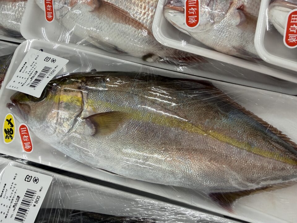 【福岡県糸島市】福ふくの里：二丈福吉の直売所・産直所