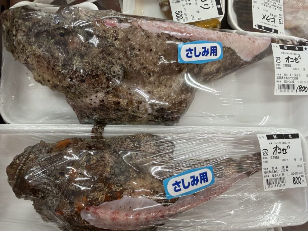 【福岡県糸島市】福ふくの里：二丈福吉の直売所・産直所