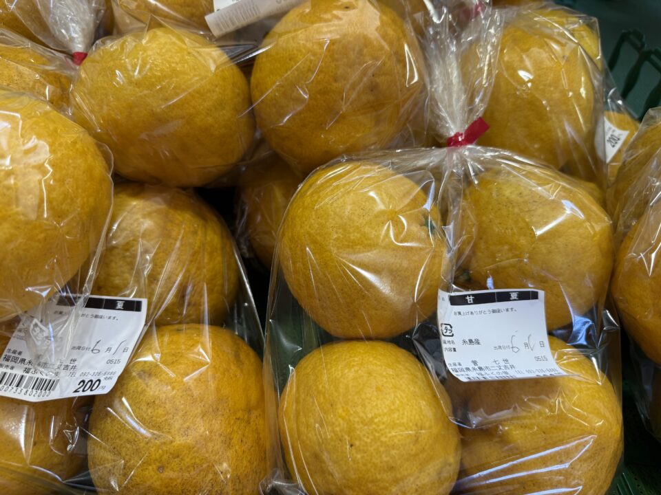 【福岡県糸島市】福ふくの里：二丈福吉の直売所・産直所