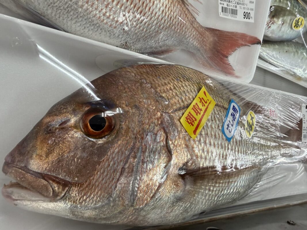 【福岡県糸島市】福ふくの里：二丈福吉の直売所・産直所
