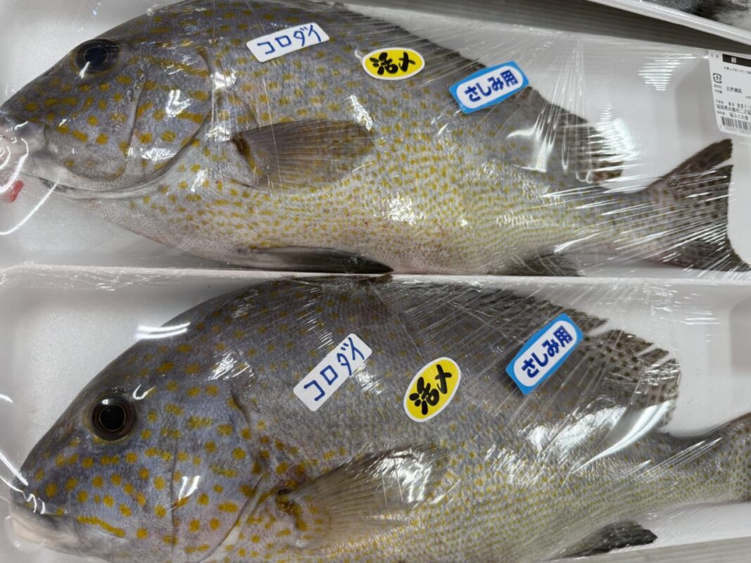 【福岡県糸島市】福ふくの里：二丈福吉の直売所・産直所