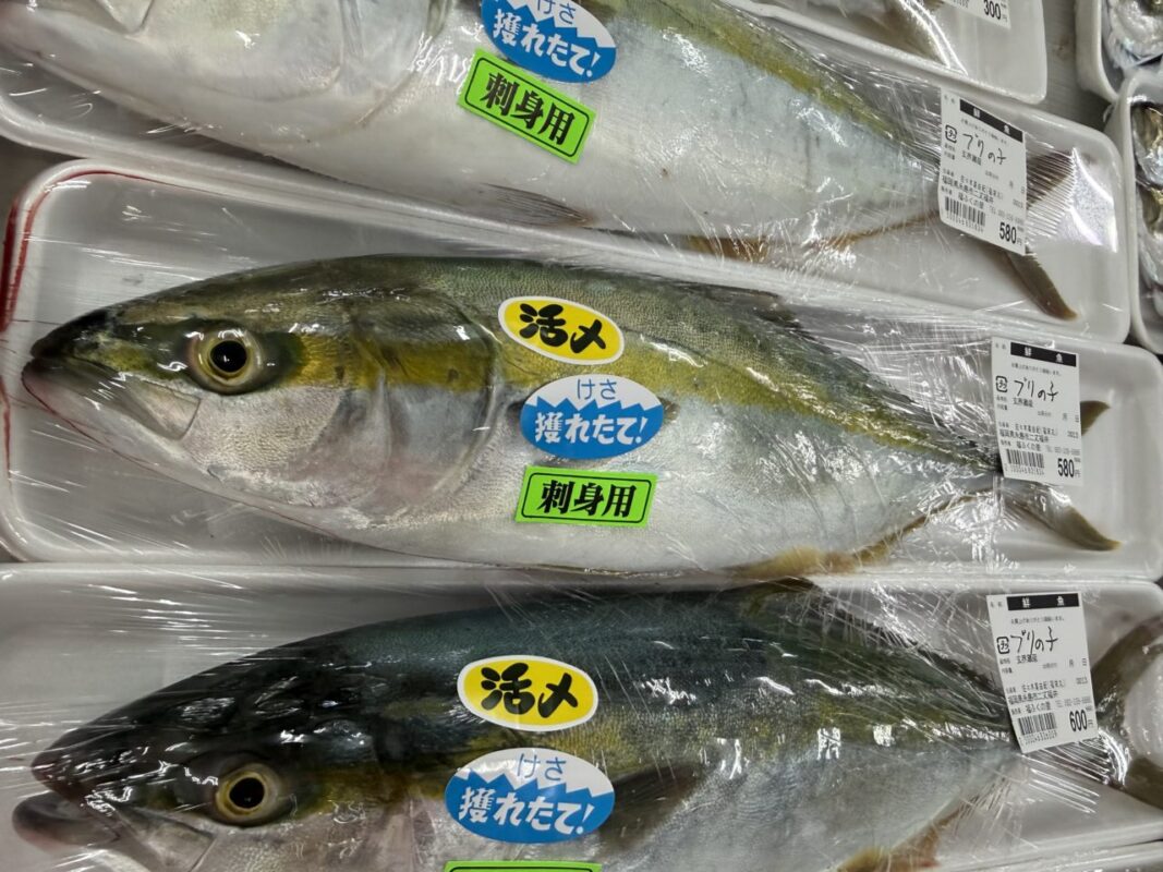 【福岡県糸島市】福ふくの里：二丈福吉の直売所・産直所
