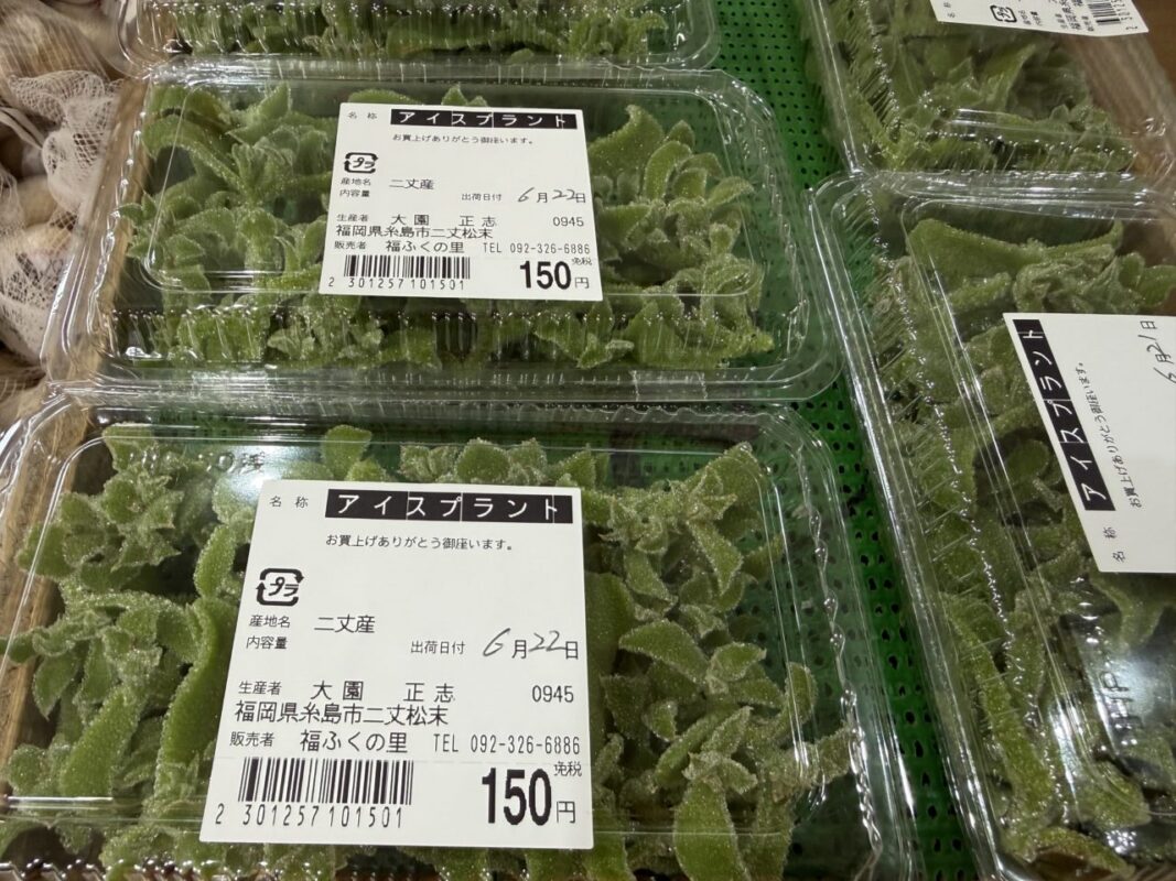 【福岡県糸島市】福ふくの里：二丈福吉の直売所・産直所