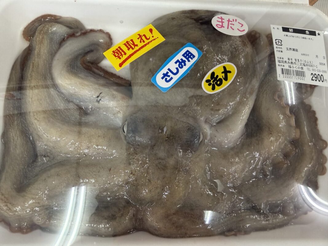 【福岡県糸島市】福ふくの里：二丈福吉の直売所・産直所
