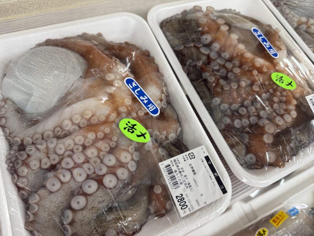 【福岡県糸島市】福ふくの里：二丈福吉の直売所・産直所