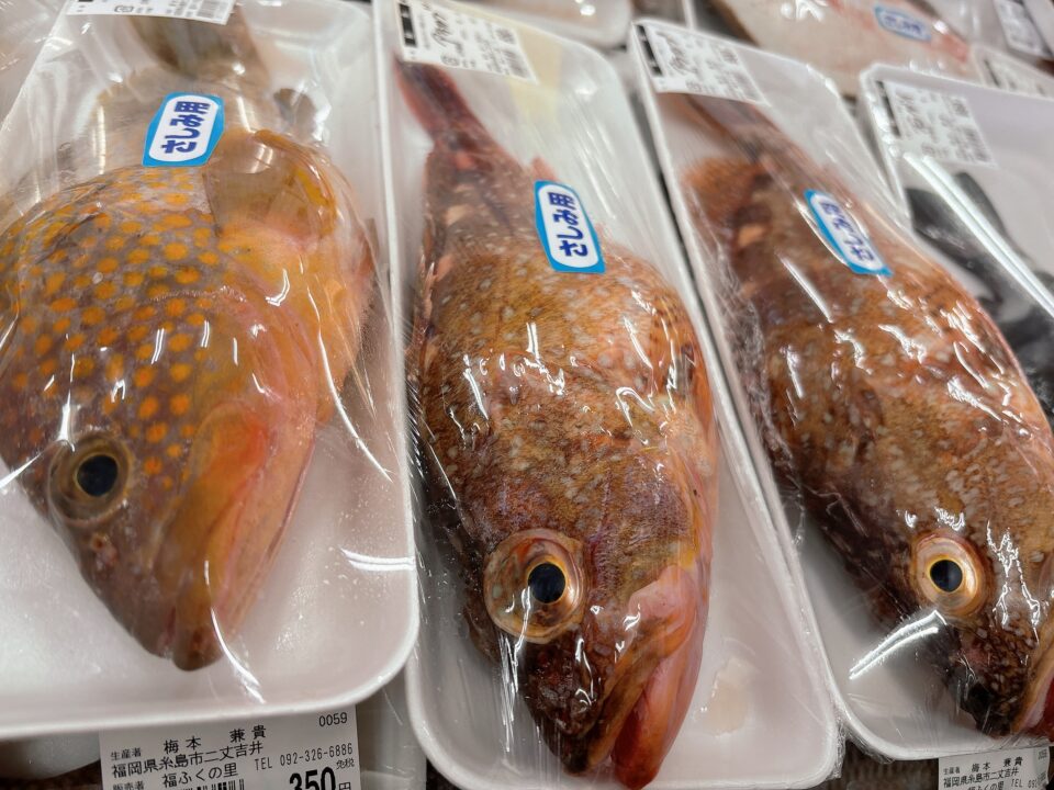 【福岡県糸島市】福ふくの里：二丈福吉の直売所・産直所