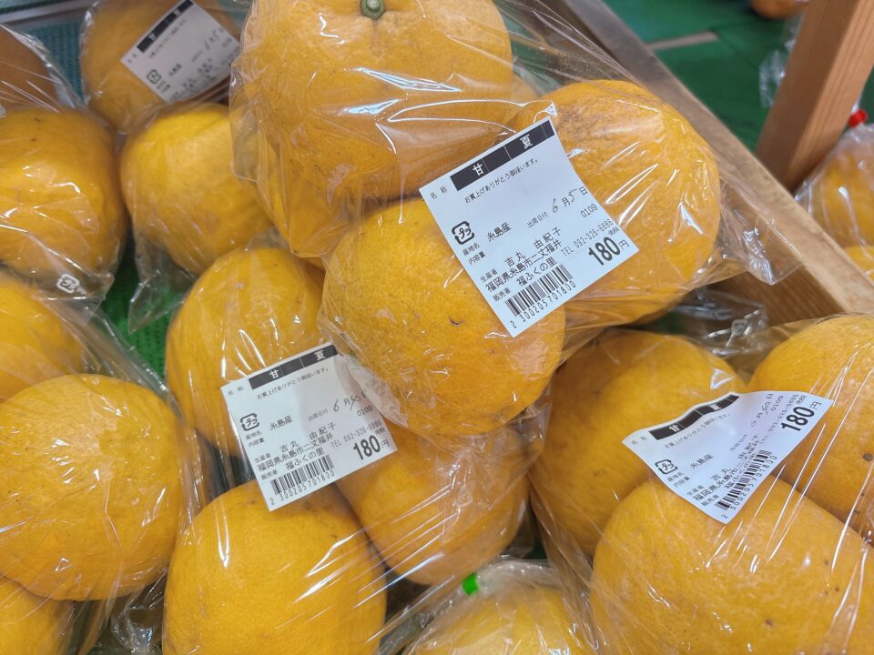【福岡県糸島市】福ふくの里：二丈福吉の直売所・産直所