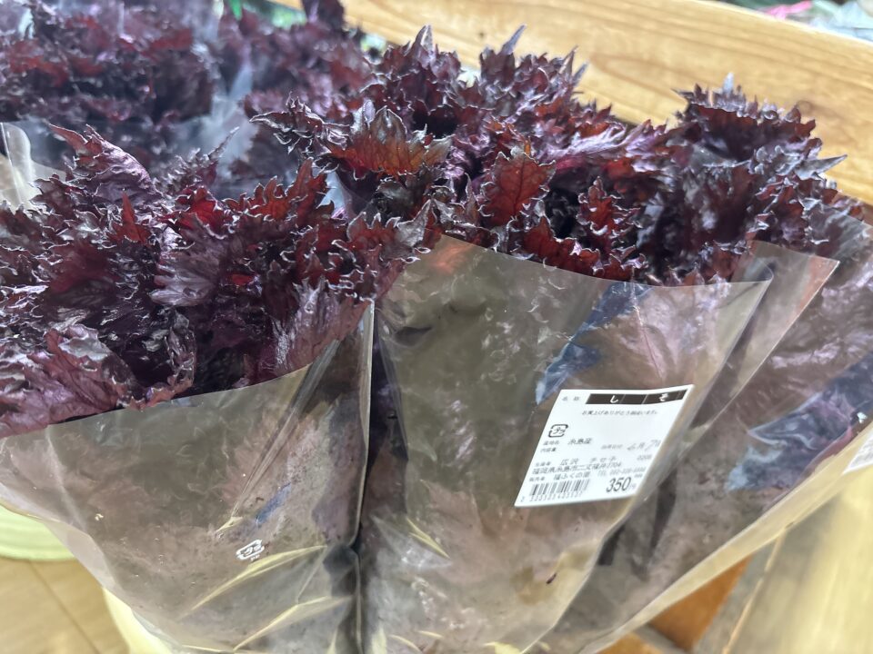 【福岡県糸島市】福ふくの里：二丈福吉の直売所・産直所