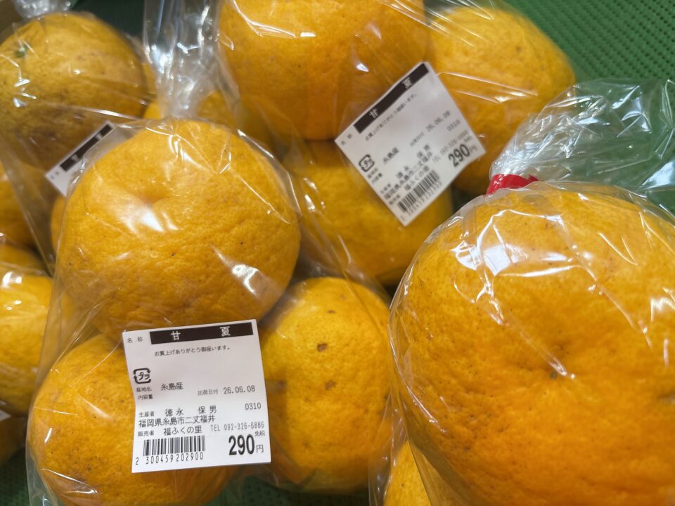 【福岡県糸島市】福ふくの里：二丈福吉の直売所・産直所