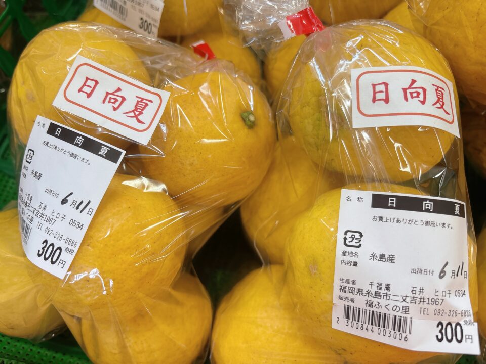 【福岡県糸島市】福ふくの里：二丈福吉の直売所・産直所