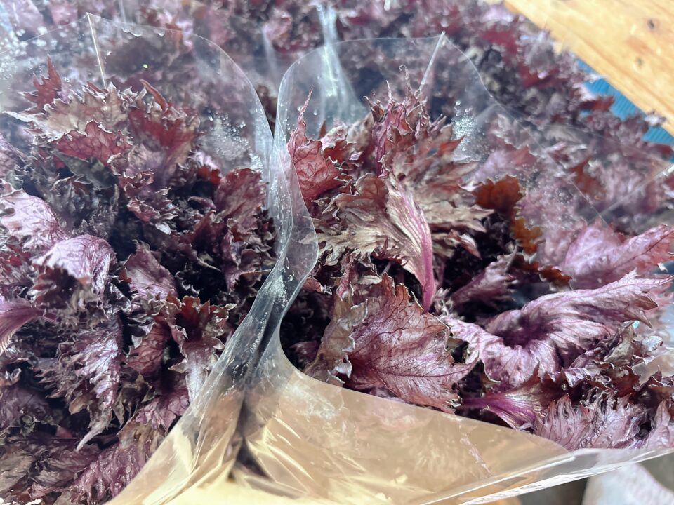【福岡県糸島市】福ふくの里：二丈福吉の直売所・産直所