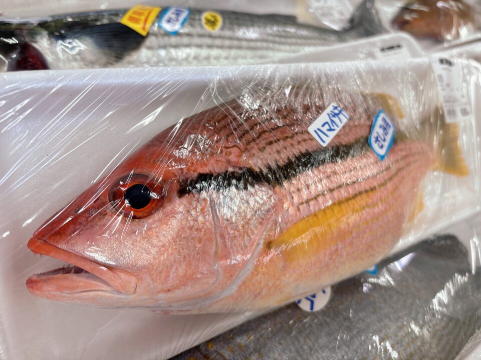 【福岡県糸島市】福ふくの里：二丈福吉の直売所・産直所