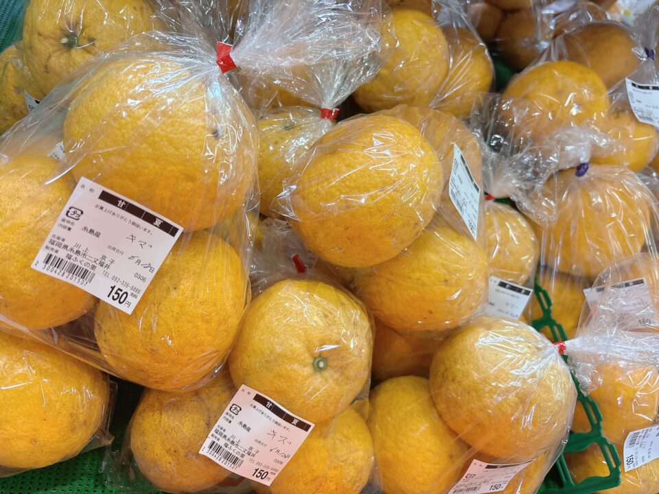 【福岡県糸島市】福ふくの里：二丈福吉の直売所・産直所