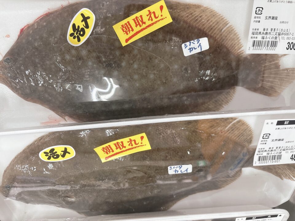 【福岡県糸島市】福ふくの里：二丈福吉の直売所・産直所