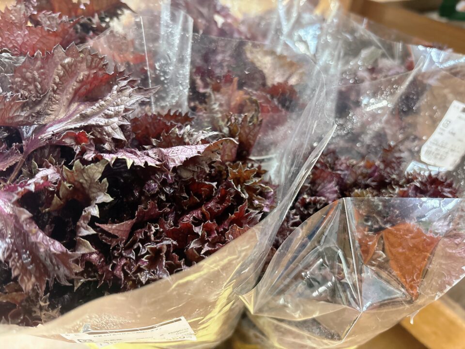 【福岡県糸島市】福ふくの里：二丈福吉の直売所・産直所