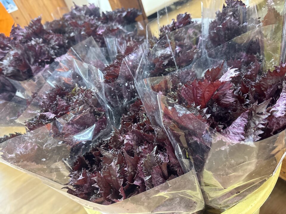 【福岡県糸島市】福ふくの里：二丈福吉の直売所・産直所