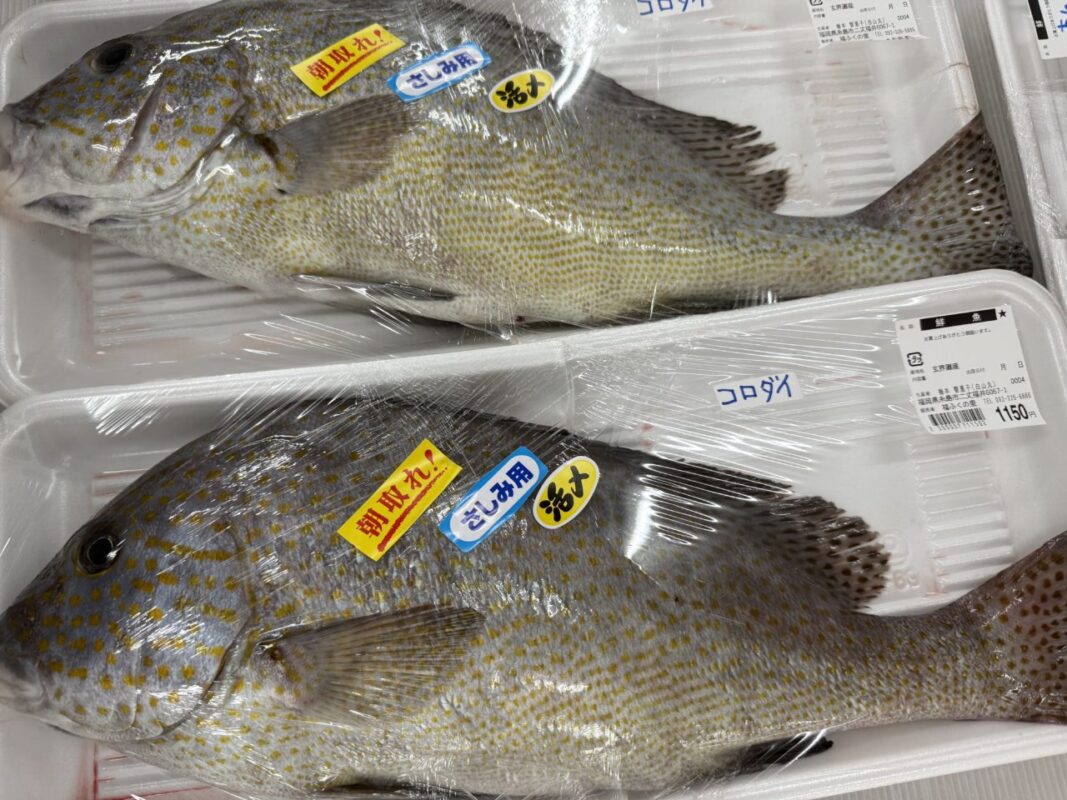 【福岡県糸島市】福ふくの里：二丈福吉の直売所・産直所