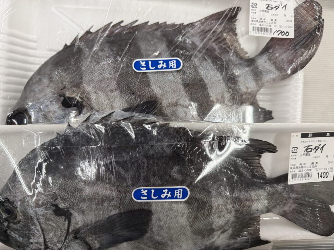 【福岡県糸島市】福ふくの里：二丈福吉の直売所・産直所