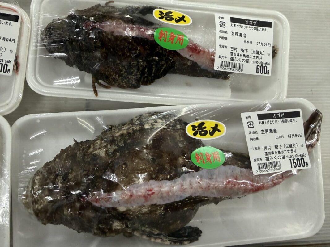 【福岡県糸島市】福ふくの里：二丈福吉の直売所・産直所