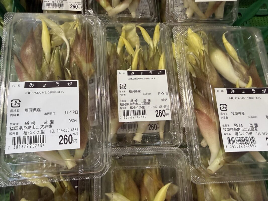 【福岡県糸島市】福ふくの里：二丈福吉の直売所・産直所