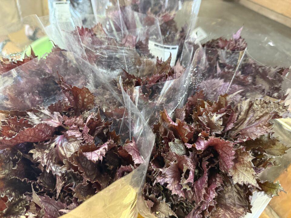 【福岡県糸島市】福ふくの里：二丈福吉の直売所・産直所