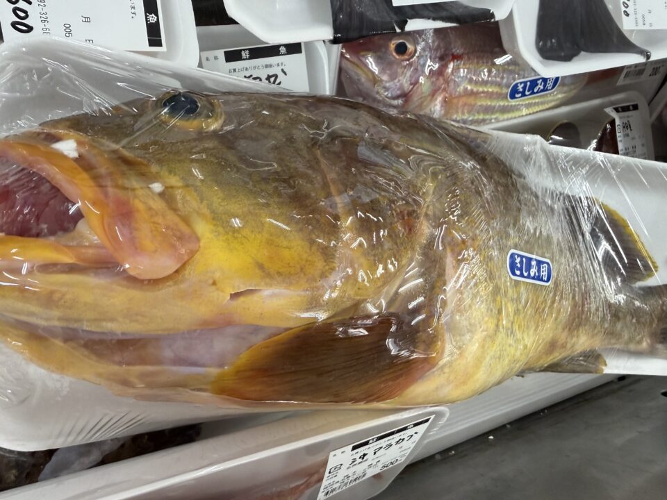【福岡県糸島市】福ふくの里：二丈福吉の直売所・産直所