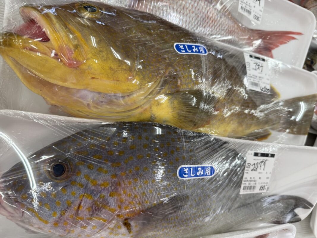 【福岡県糸島市】福ふくの里：二丈福吉の直売所・産直所