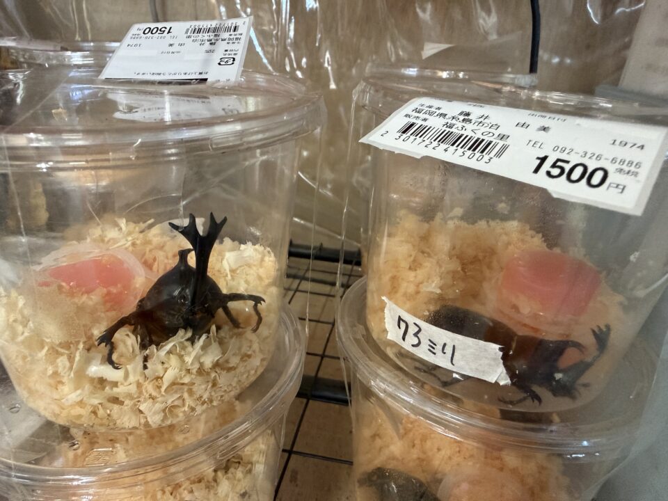 【福岡県糸島市】福ふくの里：二丈福吉の直売所・産直所