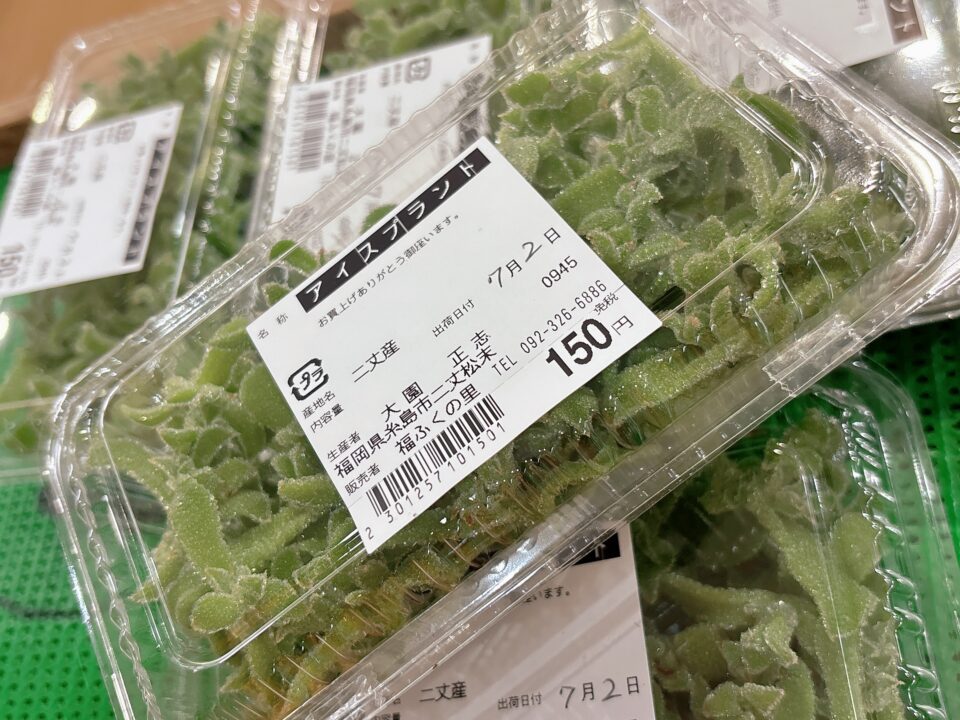 【福岡県糸島市】福ふくの里：二丈福吉の直売所・産直所