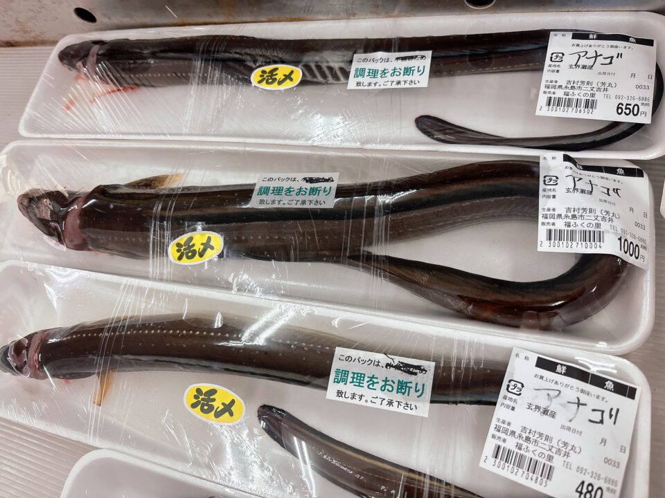 【福岡県糸島市】福ふくの里：二丈福吉の直売所・産直所
