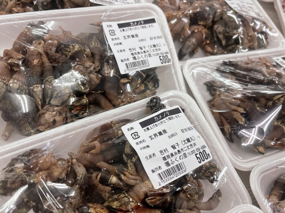 【福岡県糸島市】福ふくの里：二丈福吉の直売所・産直所