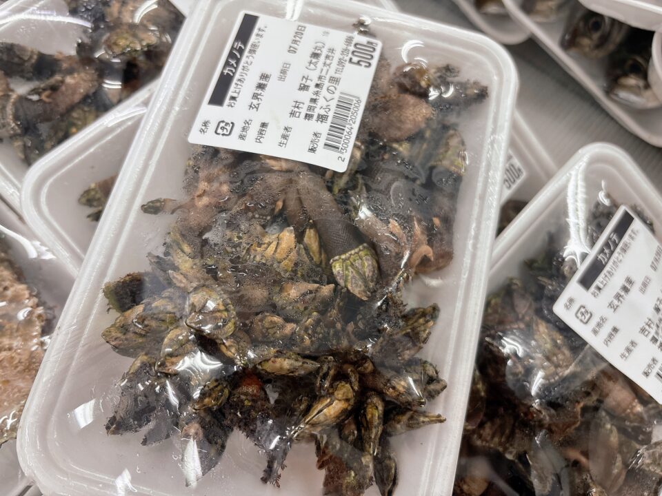 【福岡県糸島市】福ふくの里：二丈福吉の直売所・産直所