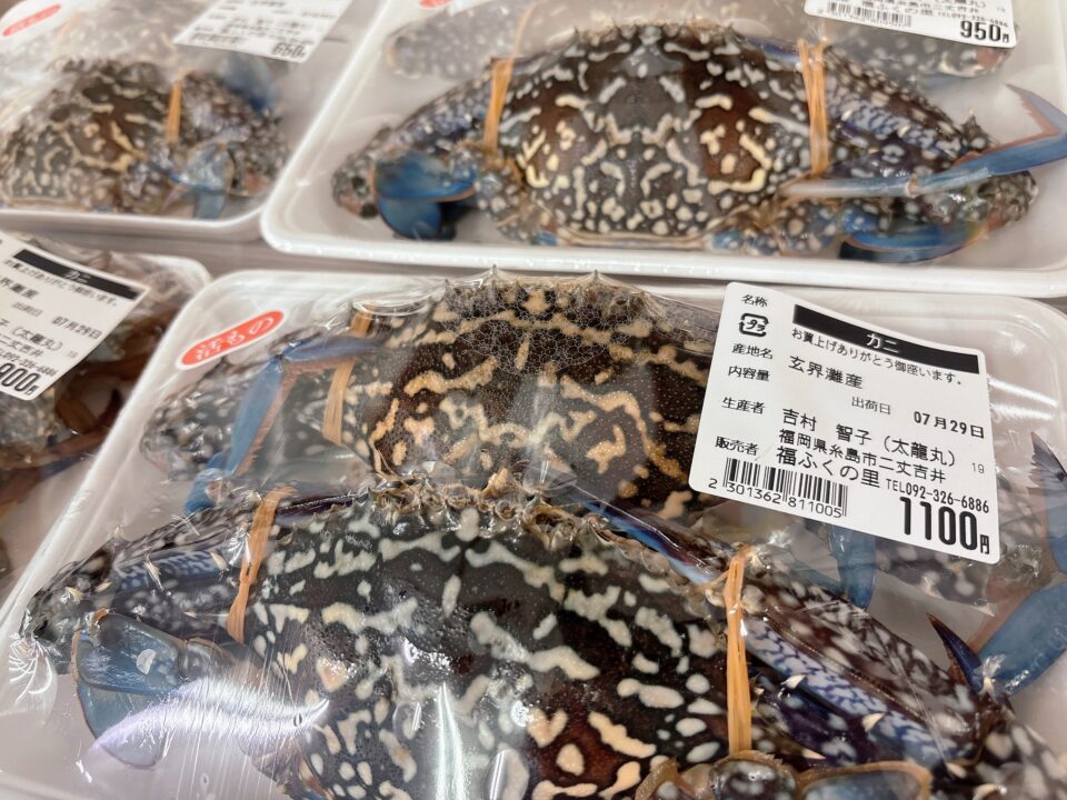【福岡県糸島市】福ふくの里：二丈福吉の直売所・産直所