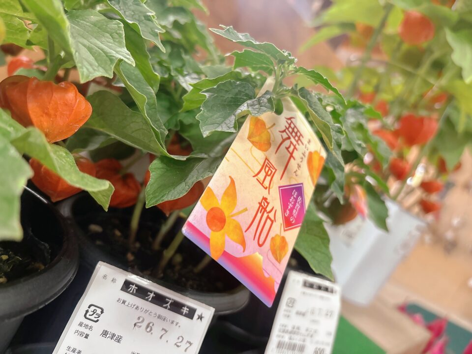 【福岡県糸島市】福ふくの里：二丈福吉の直売所・産直所