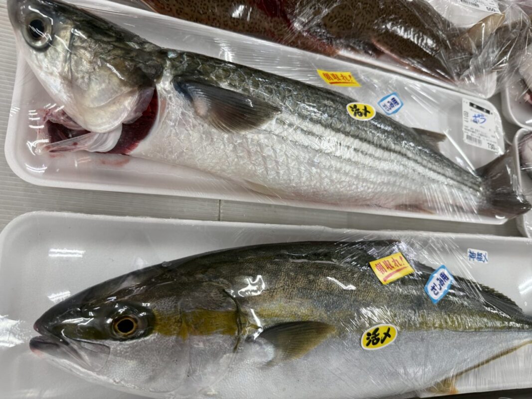 【福岡県糸島市】福ふくの里：二丈福吉の直売所・産直所