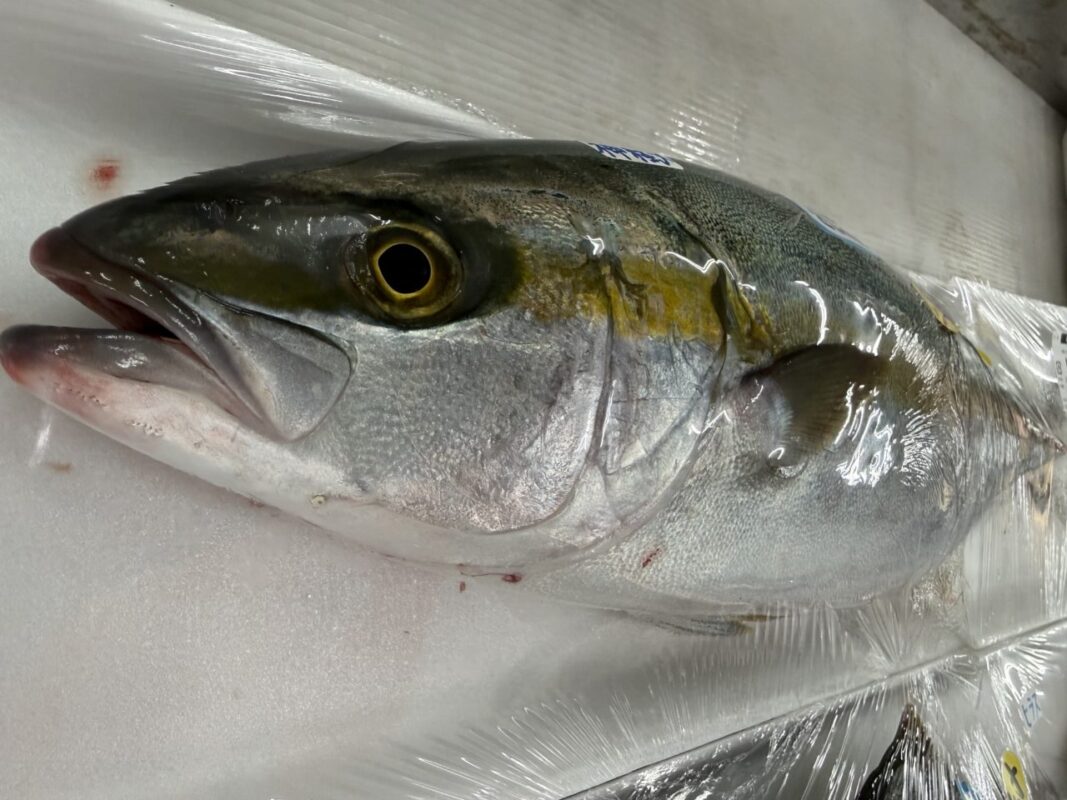 【福岡県糸島市】福ふくの里：二丈福吉の直売所・産直所