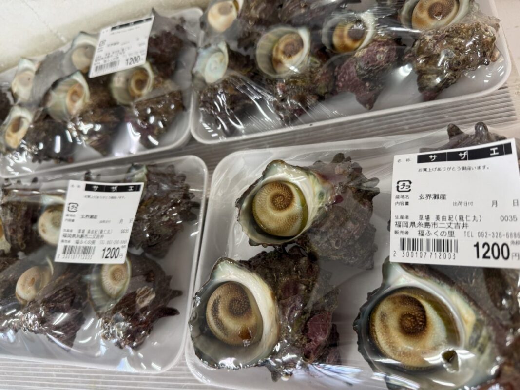 【福岡県糸島市】福ふくの里：二丈福吉の直売所・産直所