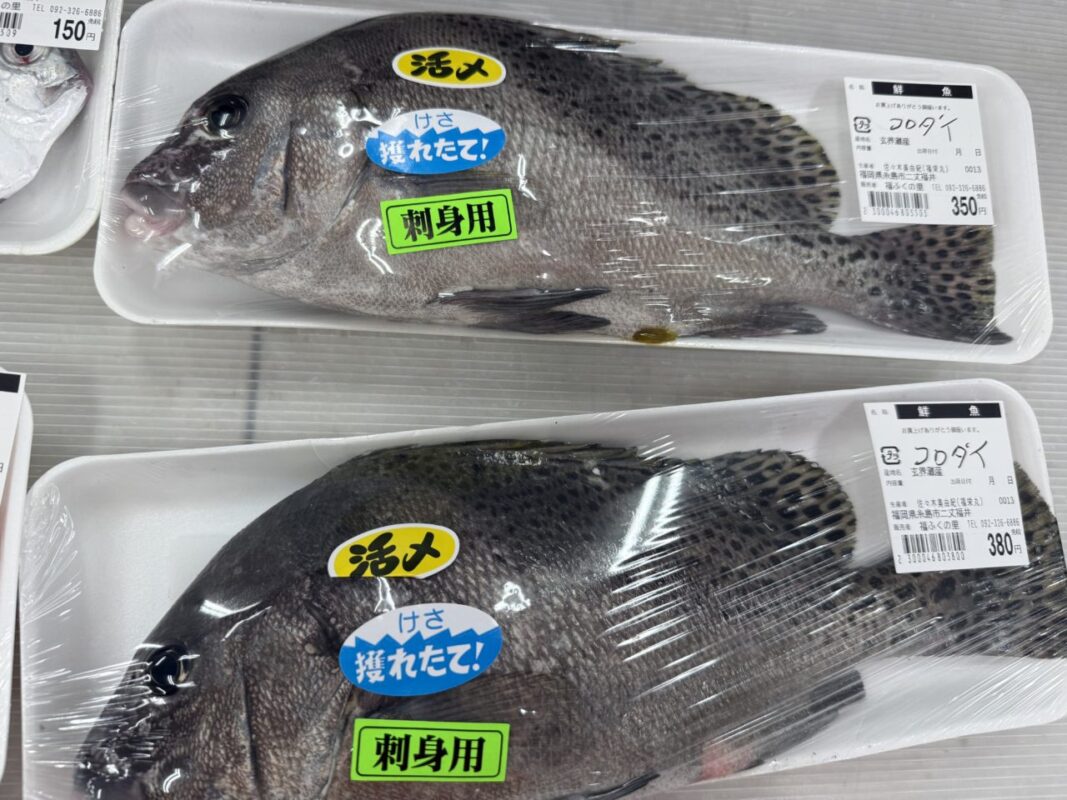 【福岡県糸島市】福ふくの里：二丈福吉の直売所・産直所