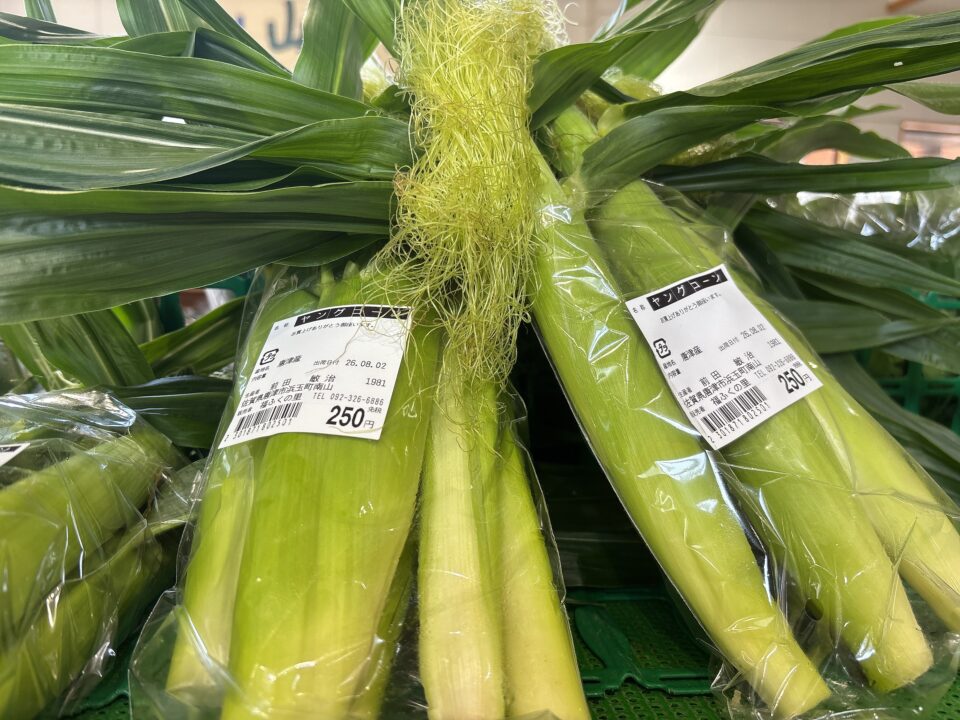 【福岡県糸島市】福ふくの里：二丈福吉の直売所・産直所