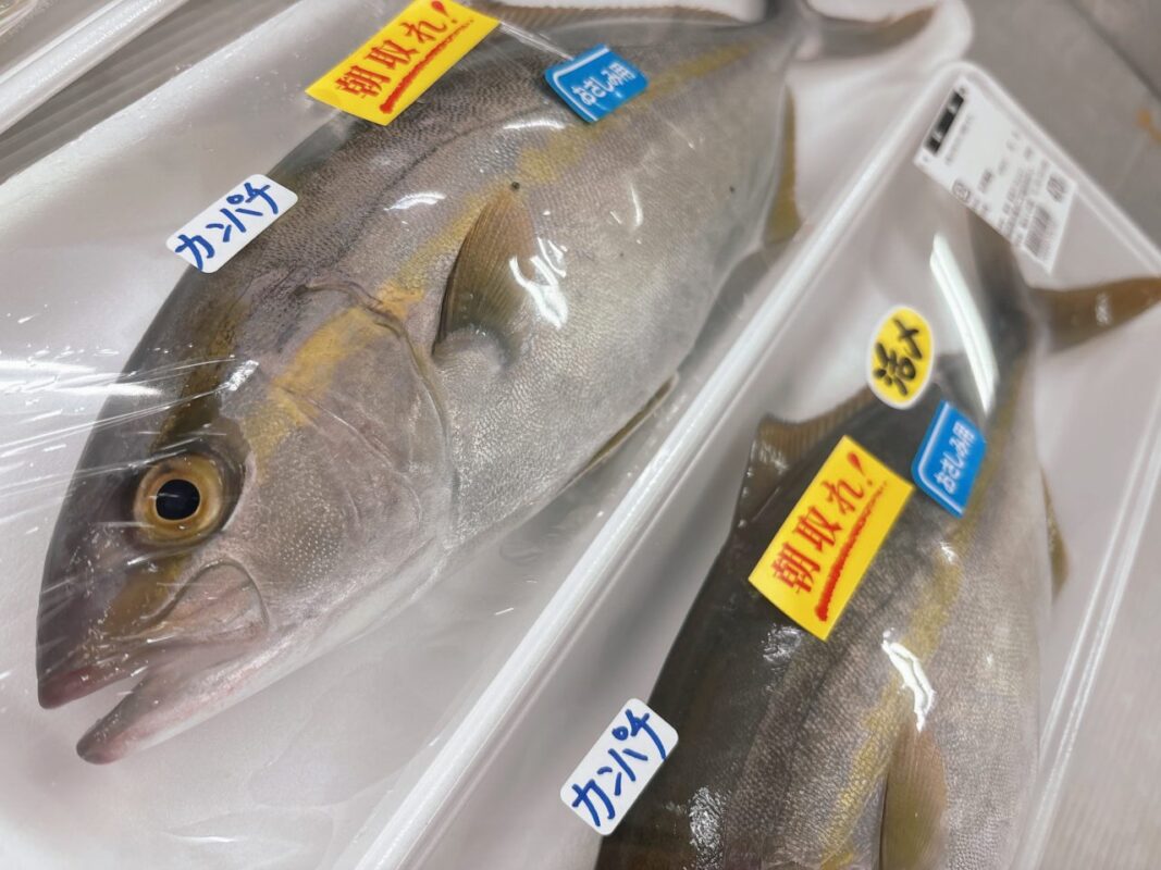 【福岡県糸島市】福ふくの里：二丈福吉の直売所・産直所