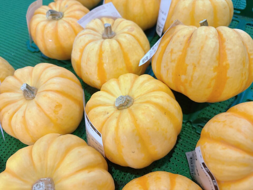 【福岡県糸島市】福ふくの里：二丈福吉の直売所・産直所