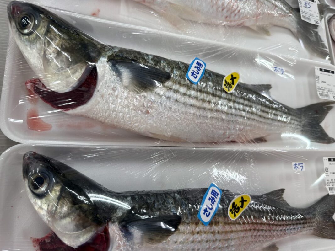 【福岡県糸島市】福ふくの里：二丈福吉の直売所・産直所